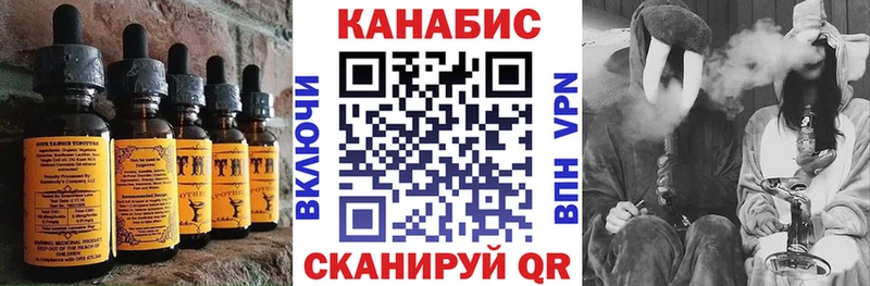 Купить закладки  Елизово  Cannafood конопля 