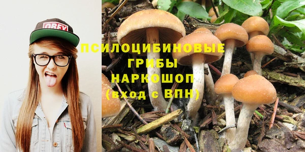 герыч Инта