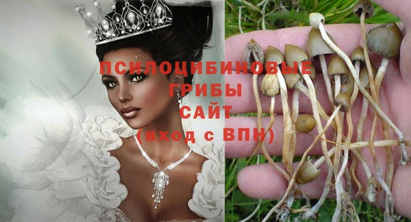 герыч Инта