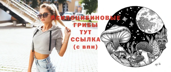 винт Инсар