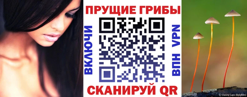 Псилоцибиновые грибы мухоморы  Купить где  Елизово 