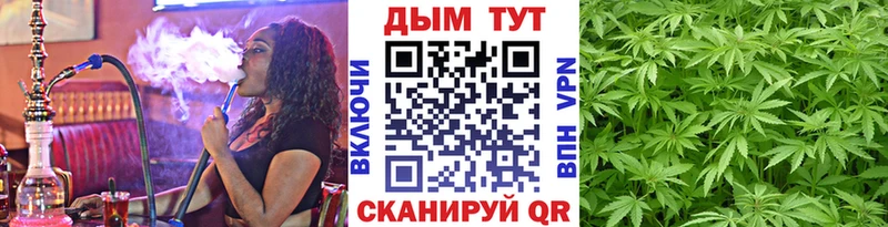 Купить закладки  Елизово  Бошки Шишки THC 21% 